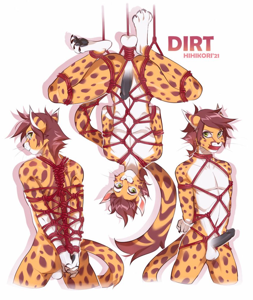 2022 anthro balls brown_hair cheetah digital_media_(artwork) eyebrows eyelashes felid feline genitals hair hi_res hihikori male mammal nude penis solo