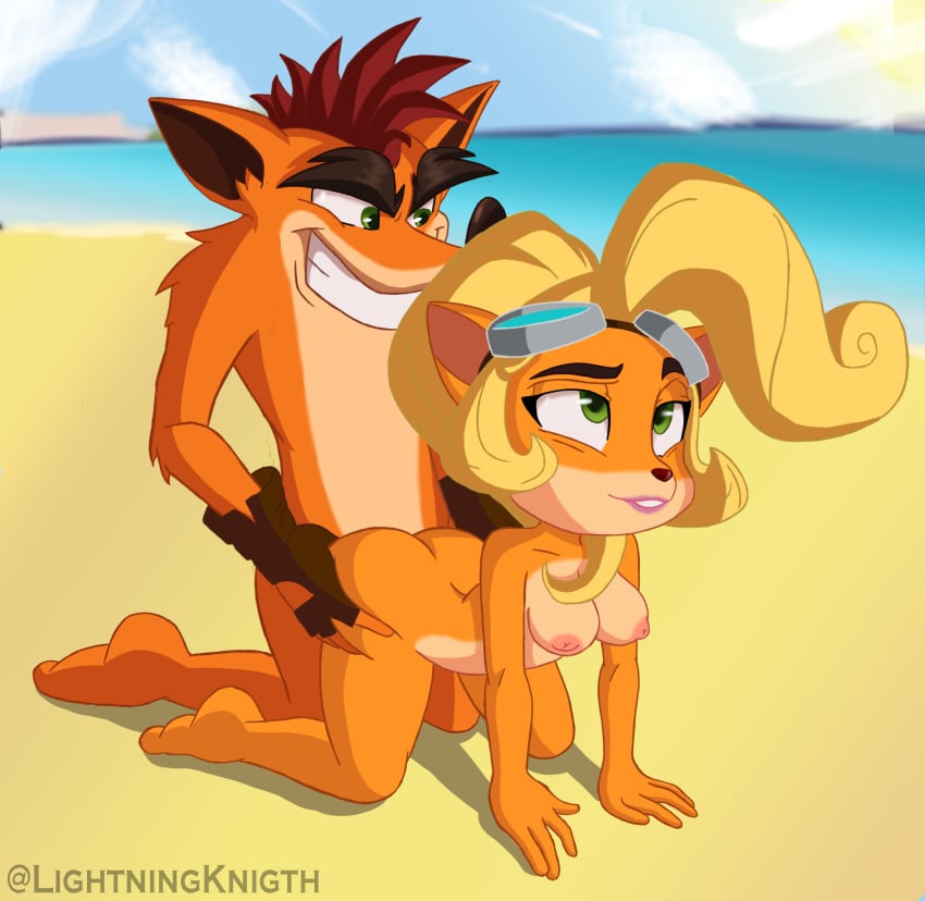 beach blonde_hair coco_bandicoot crash_(series) crash_bandicoot doggy_style excited green_eyes incest lightningknight medium_breasts nude penetration red_hair smile wasarky