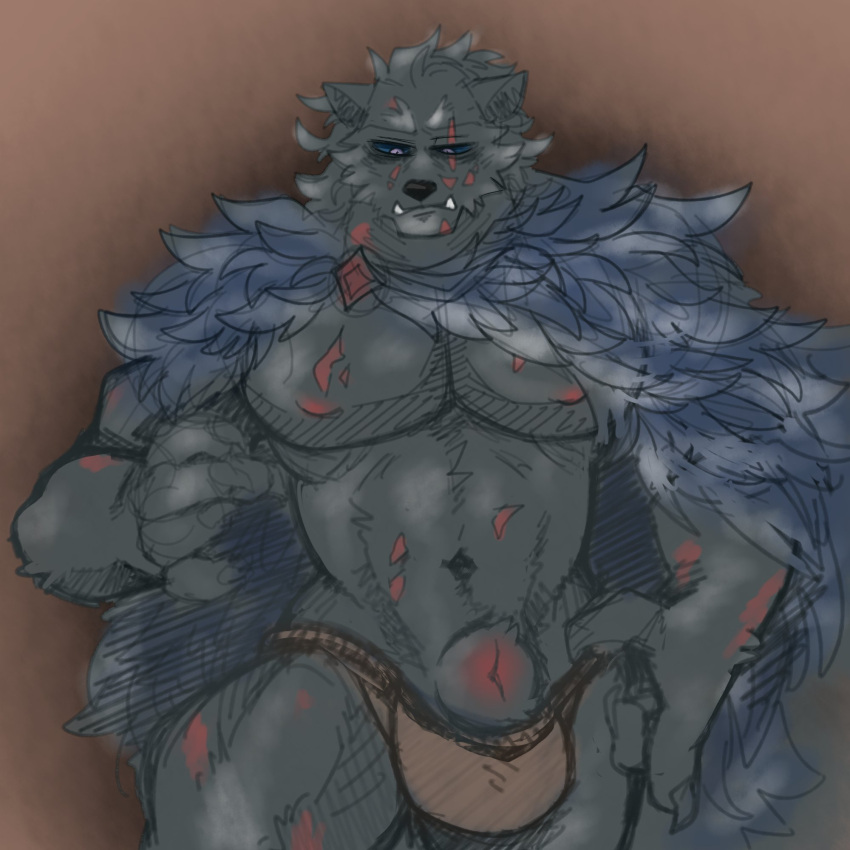 animal_genitalia anthro black_sclera blaidd_(elden_ring) bulge canid canine canis cape clothing elden_ring fully_sheathed fur genitals grey_body grey_fur haiscone hi_res male male_only mammal muscular muscular_anthro muscular_male navel pecs scar sheath solo solo_male thong underwear wolf