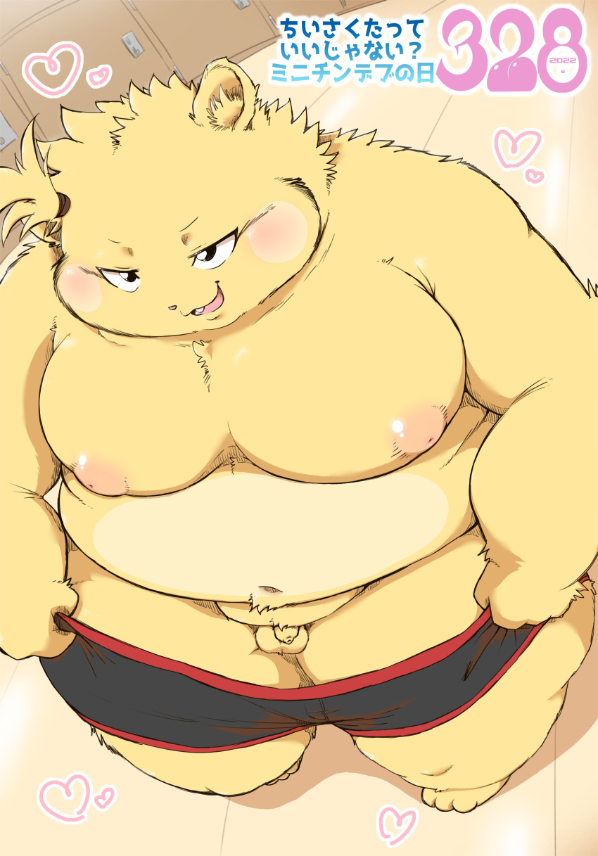 2022 absurd_res anthro balls belly big_belly big_moobs blush clothing genitals hi_res humanoid_genitalia humanoid_hands humanoid_penis japanese_text kemono male mammal micropenis minichin_chubby_day moobs namabito overweight overweight_male penis small_penis solo text underwear