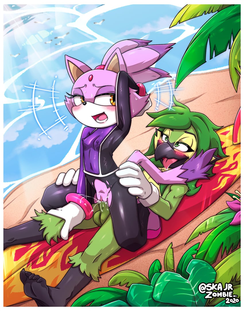 anthro avian beach bird blaze_the_cat blush bodysuit breasts clothing domestic_cat duo erect_nipples erect_nipples_under_clothes felid feline felis female genitals hand_behind_head hi_res male male/female mammal on_bottom on_top open_mouth open_smile penetration penis pussy reverse_cowgirl_position seaside sega sex skajrzombie skinsuit small_breasts smile sonic_(series) sonic_the_hedgehog_(series) surfboard tight_clothing torn_clothing vaginal_penetration