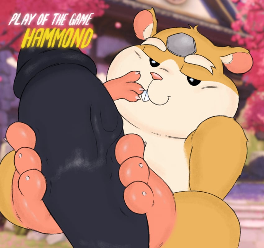 anthro blizzard_entertainment buckteeth claws cricetid eyebrows feet filthyopossum foot_fetish foot_focus foot_play footjob fur genitals hammond_(overwatch) hamster hand_on_mouth hi_res looking_at_viewer male male/male male_only mammal overwatch penis pink_nose play_of_the_game rodent sex size_difference smile solo_focus tan_body tan_fur teasing teeth toes video_games winston_(overwatch) yaoi