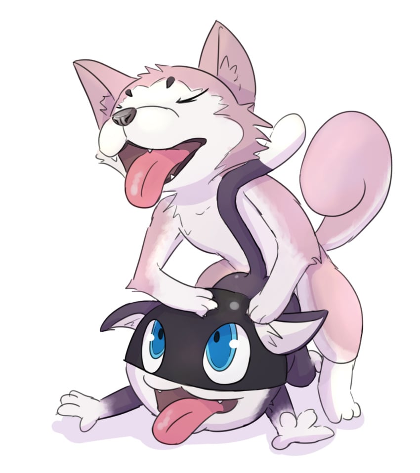 2boys anal anal_sex cat closed_eyes dog feral gay koromaru_(megami_tensei) male male/male male_only morgana_(persona) open_mouth persona_3 persona_5 sex tongue tongue_out wattacat yaoi