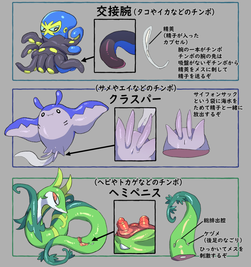 animal_genitalia animal_penis cloaca diphallia diphallism feral genitals grapploct group hemipenes hi_res japanese_text male male_only mantine multi_genitalia multi_penis nintendo penis pokémon_(species) pokemon serperior sugata1616 tentacle text translation_request video_games