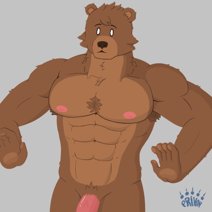 anthro barazoku big_pecs big_penis genitals hi_res humanoid male male/male mammal muscular nipples nude pecs penis privon pubes shocked shocked_expression shy timid ursid