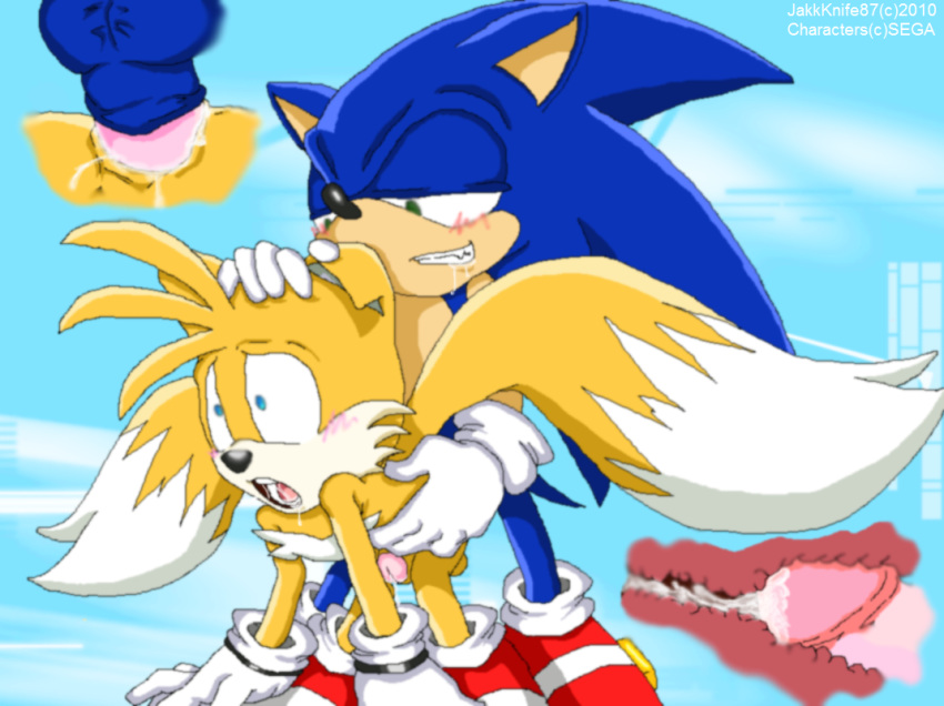 anthro buggery fox fur furry furry_only hedgehog interspecies jakkknife87 sonic_(series) sonic_the_hedgehog tagme tails video_games x-ray yaoi