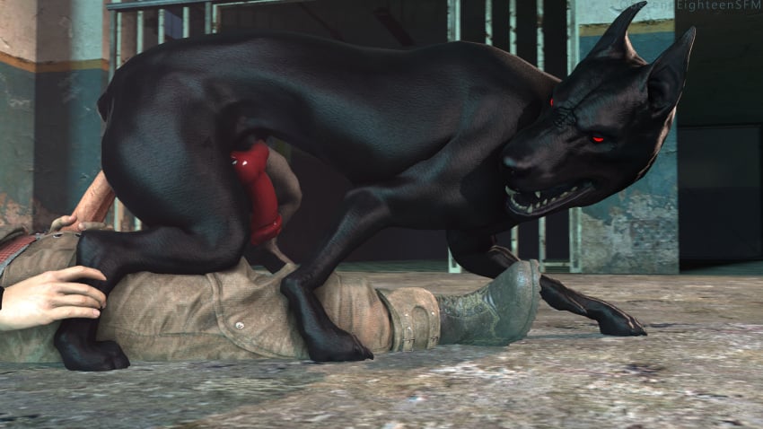 3d_(artwork) anal anal_sex animal_genitalia animal_penis balls big_penis bj_blazkowicz black_body black_fur canid canine canine_genitalia canine_penis canis clothing digital_media_(artwork) dobermann domestic_dog duo erection feral feral_penetrated fur gay genitals hi_res huge_cock human human_on_feral human_penetrating human_penetrating_feral humanoid_genitalia humanoid_penis interspecies kampfhund looking_back lying male male/male male_on_feral male_only male_penetrated male_penetrating male_penetrating_male mammal obsceneeighteensfm on_back penetration penis pinscher quadruped red_eyes sex wolfenstein zoophilia