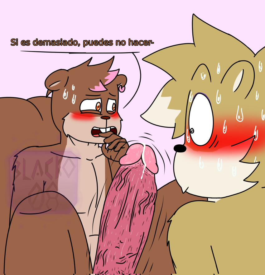 2024 anthro archy_(theblacko08) big_penis blush bodily_fluids brown_body brown_fur digital_drawing_(artwork) digital_media_(artwork) duo ear_piercing erection femboy fur genitals hi_res male male/male mammal nude penis piercing rodent sciurid scratchy_(bunnyangelbun) spanish_text sweat text theblacko08 tree_squirrel