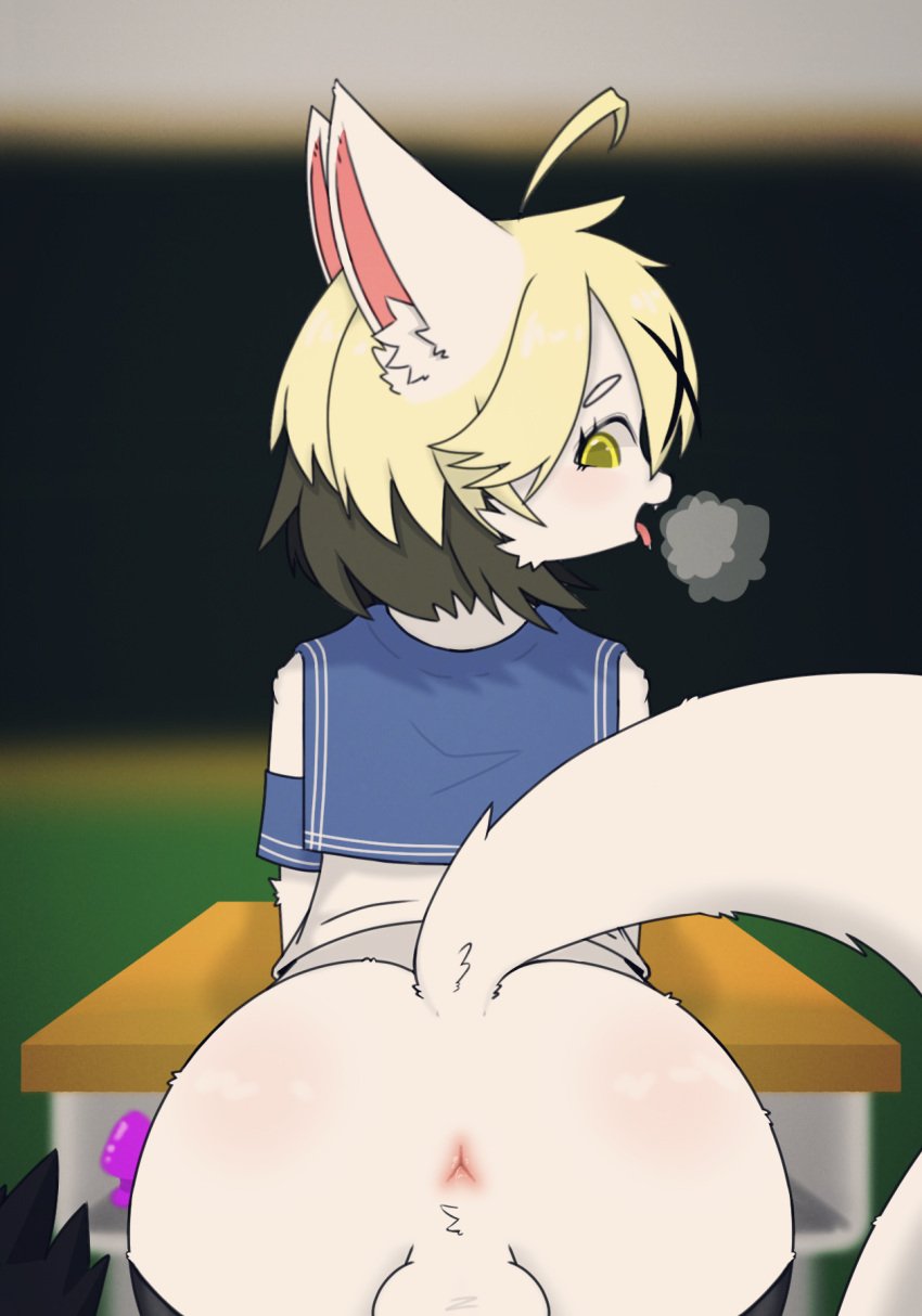 anthro anus aroused balls blonde_hair buttplug canid canine classroom clothing desk femboy fox furniture genitals hair hi_res kemonoyao legwear looking_back male mammal plug_(sex_toy) rear_view school school_uniform sex_toy solo stockings table tail tongue tongue_out uniform yellow_eyes