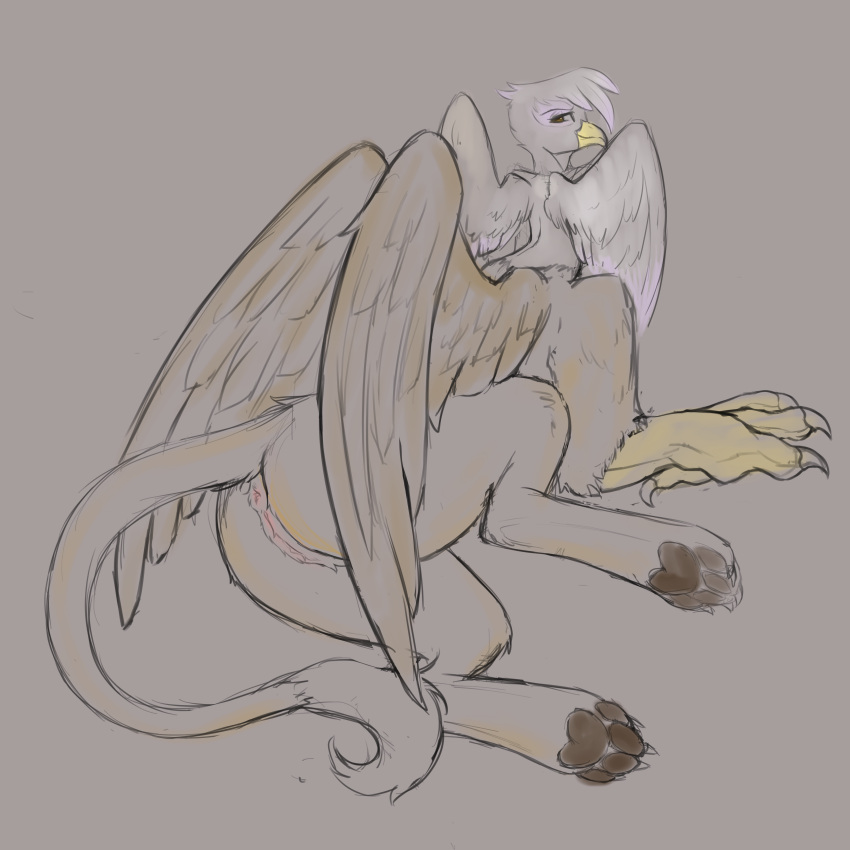 absurd_res anus ass avian avian_taur beak claws evlass feathered_wings feathers female friendship_is_magic genitals gilda_(mlp) gryphon gryphon_taur hasbro hi_res looking_back lying multi_wing my_little_pony mythological_avian mythology pawpads paws pussy smile taur wings