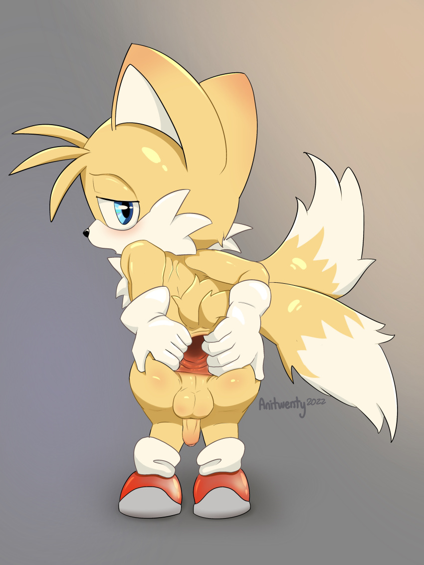 anitwenty anthro anus balls cub foreskin gaping gaping_anus girly goatse looking_back male male_focus male_only male_solo presenting presenting_anus presenting_hindquarters solo solo_male sonic_(series) sonic_the_hedgehog_(series) spreading spreading_anus spreading_ass tails uncircumcised young