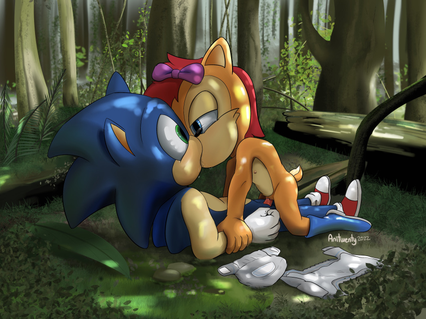 anitwenty anthro archie_comics chipmunk cowgirl_position cub diaper drooling duo eulipotyphlan female forest forest_background ground_squirrel hedgehog holding_down kissing male/female mammal on_top rodent sally_acorn sciurid sega sex sonic_(series) sonic_the_hedgehog sonic_the_hedgehog_(series) squirrel tears vaginal_penetration young