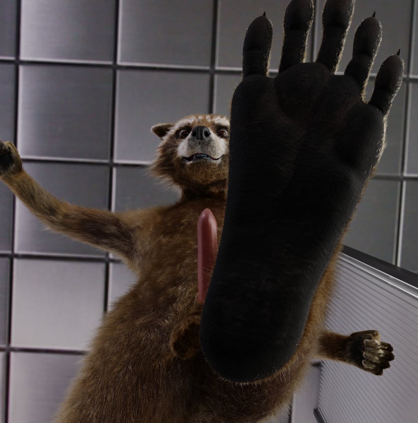 anthro balls brown_body brown_eyes brown_fur feet first_person_view foot_focus fur furry genitals guardians_of_the_galaxy hi_res looking_at_viewer male male_only mammal marvel paws penis procyonid raccoon rocket_raccoon smile solo stepping tawzy