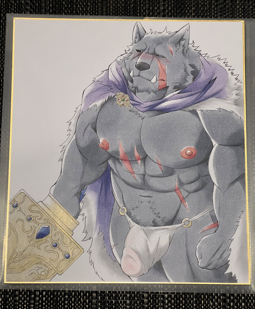 anthro bara bikini_thong blaidd_(elden_ring) canid canine canis cape clothing elden_ring fangs fromsoftware hi_res male male_only mammal melee_weapon muscular muscular_male scar solo swimwear sword video_games wasabimayo1129 weapon wolf