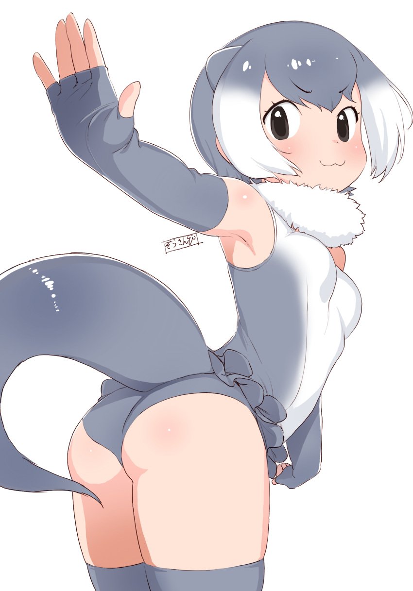 :3 animal_ears arched_back asian_small-clawed_otter_(kemono_friends) ass bare_shoulders black_eyes breasts clothing elbow_gloves extra_ears eyebrows_visible_through_hair female female female_only female_solo fingerless_gloves from_behind fur_collar gloves gradient_hair grey_gloves grey_hair grey_legwear high_resolution kemono_friends leaning_forward legwear looking_at_viewer looking_back masuyama_ryou multicolored_hair one-piece_swimsuit otter_ears otter_tail outstretched_arm short_hair simple_background small_breasts smile solo swimsuit tail thighhighs v-shaped_eyebrows white_background white_hair