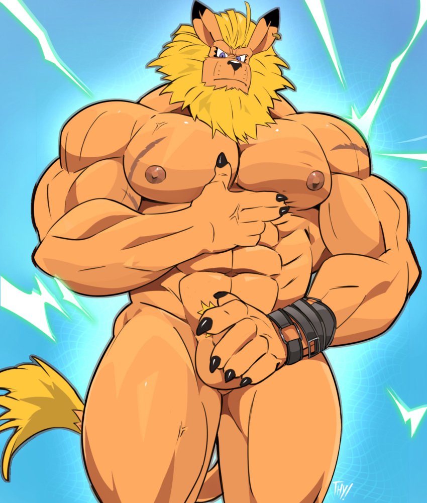 5_fingers abs anthro areola balls bandai_namco belt biceps black_claws blonde_hair blonde_mane claws covering covering_crotch digimon digimon_(species) ear_piercing ear_ring finger_claws fingers genitals hair hi_res leomon looking_at_viewer male male_only mane mane_hair muscular muscular_anthro muscular_male nipples nude pecs penis penis_base piercing pubes solo solo_male tail_tuft thymilph tuft veiny_muscles