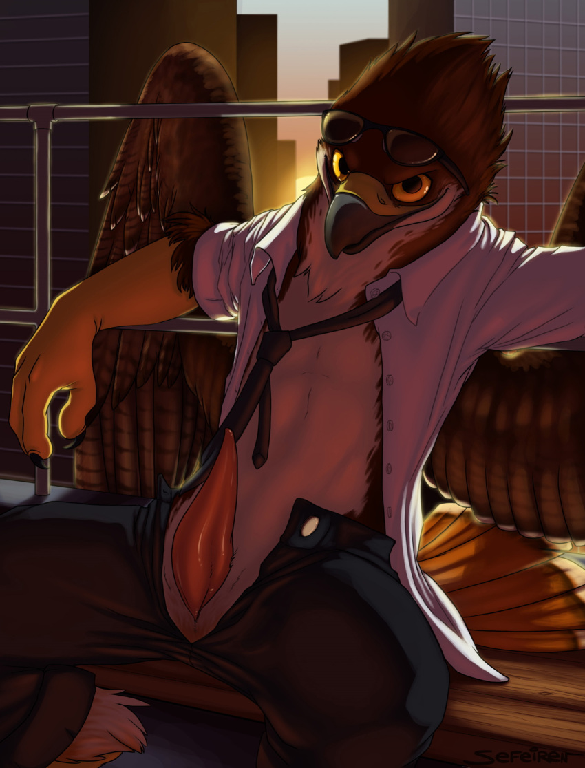 accipitrid accipitriform anthro arm_support avian backlighting balcony beak bench bird bottomwear buteo chickenhawk city city_background cityscape claws clothed clothing conditional_dnp digital_media_(artwork) erection eyewear feathered_wings feathers fur furry furry_only genitals glasses hi_res leaning leaning_back light lighting looking_at_viewer male male_only markings necktie nude on_bench open_clothing open_shirt open_topwear outside pants penis railing red-tailed_hawk sefeiren shadow shirt sitting sky skyscraper smile solo striped_markings stripes sunrise tapering_penis topwear unzipped unzipped_pants wings wings_behind_railing yellow_eyes