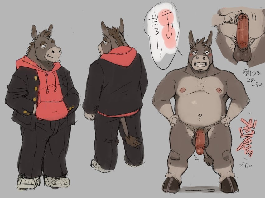 2022 anthro asinus balls belly bottomwear clothing donkey equid equine erection gamma-g genitals hi_res hoodie humanoid_genitalia humanoid_hands humanoid_penis japanese_text kemono male male_only mammal model_sheet moobs nipples overweight overweight_male pants penis solo text topwear