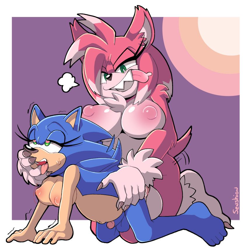 2futas abstract_background absurd_res all_fours alternate_species amy_rose amy_rose_the_werehog anal anal_sex anthro balls big_balls big_belly big_breasts blue_body blue_fur breasts digital_media_(artwork) digital_painting_(artwork) dominant dominant_gynomorph dominant_intersex eulipotyphlan eyelashes feminization ftg_crossgender fti_crossgender fur futa_on_futa futa_on_male futa_only futadom futanari futanari_penetrating futasub genitals green_eyes gynomorph gynomorph/gynomorph gynomorph_penetrated gynomorph_penetrating gynomorph_penetrating_gynomorph half-closed_eyes hand_on_face hand_on_hip hedgehog hi_res intersex intersex/intersex intersex_penetrated intersex_penetrating intersex_penetrating_intersex larger_futanari larger_gynomorph larger_intersex mammal mtg_crossgender mti_crossgender naked narrowed_eyes nipples nude open_mouth penetration penis pink_body pink_fur pregnant pregnant_gynomorph pregnant_intersex rule_63 sega senshion sharp_teeth signature size_difference smaller_futanari smaller_gynomorph smaller_intersex sonic_(series) sonic_the_hedgehog sonic_the_hedgehog_(series) sonic_unleashed sonique_the_hedgehog submissive submissive_gynomorph submissive_intersex teeth tongue tongue_out toothy_grin were wereeulipotyphlan werehog