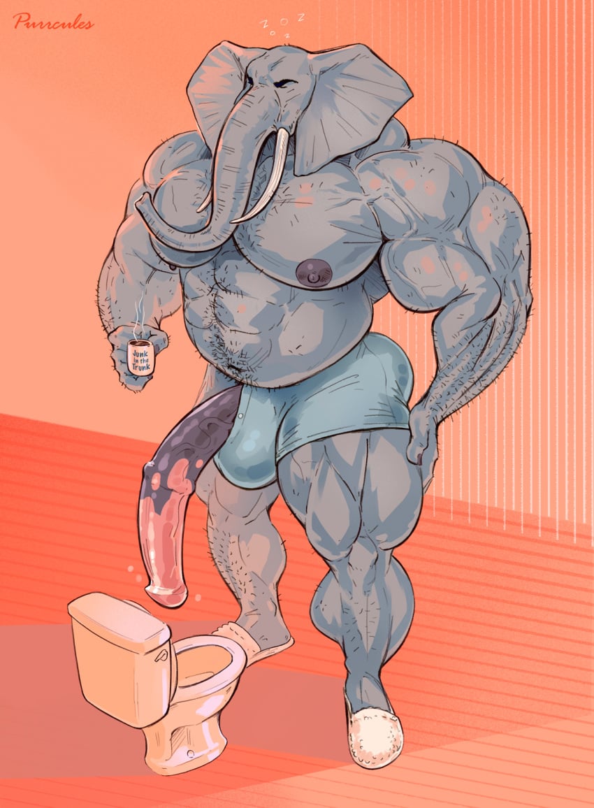 abs anthro bara bara_tiddies bara_tits barazoku beverage big_penis body_hair boxer_briefs closed_eyes clothed clothing coffee coffee_cup coffee_mug elephant elephantid flaccid furry furry_only genitals hairy hairy_male hand_on_thigh hi_res huge_cock humanoid humanoid_feet humanoid_genitalia humanoid_hands humanoid_penis hyper mainlion male male_only mammal mature mature_anthro mature_male medial_ring moobs mug musclegut muscular muscular_anthro muscular_male nipples pecs penis penis_through_fly penis_through_underwear poking_out proboscidean proboscis_(anatomy) simple_background slippers solo thick_thighs tired toilet topless trunk_(anatomy) tusks underwear underwear_only