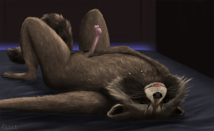 1boy 2014 anatomically_correct anatomically_correct_penis animal_genitalia balls bed emptyset erection guardians_of_the_galaxy lying male male_only mammal marvel marvel_comics masturbation penis raccoon rocket_raccoon solo tongue tongue_out