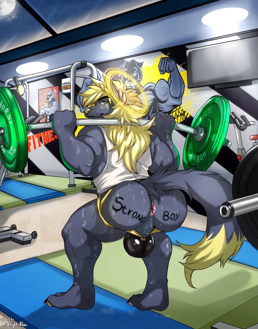 1boy absurd_res anthro anus ass bulge canid canine canis clothing exercise gym gym_clothing halo hi_res jackal jockstrap male male_only mammal midnight_blue muscular muscular_anthro rear_view solo solo_male underwear weightlifting workout