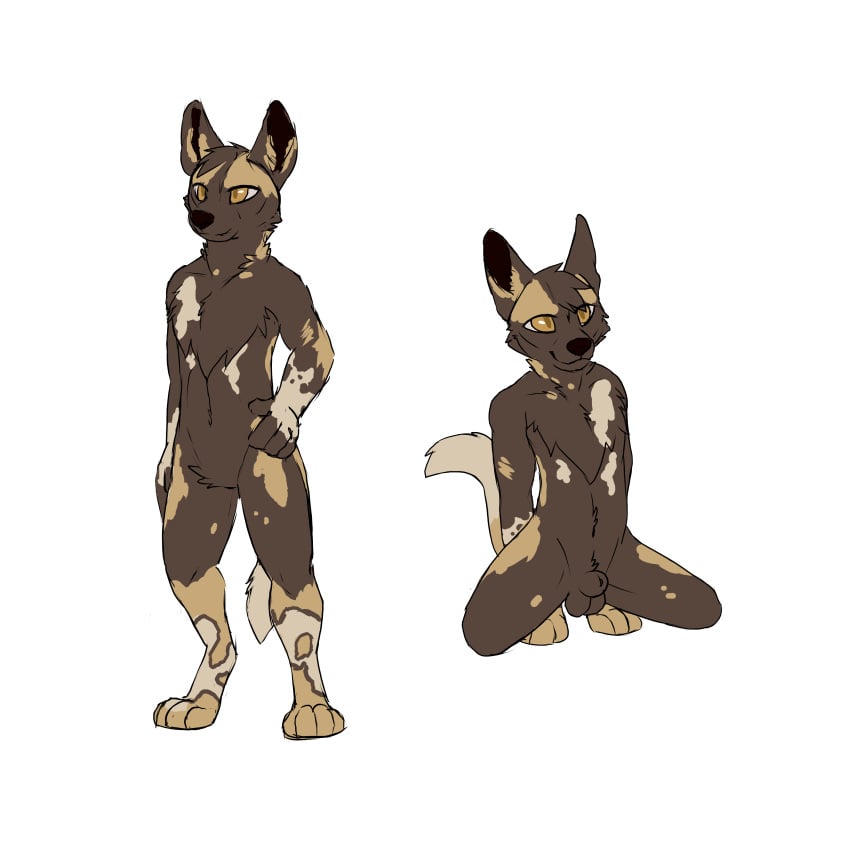 1:1 4_toes absurd_res animal_genitalia anthro balls biped black_inner_ear black_nose brown_balls brown_body brown_ears brown_fur brown_hair brown_sheath canid cheek_tuft chest_tuft crouching digitigrade facial_tuft featureless_crotch feet front_view fully_sheathed fur genitals glistening glistening_eyes hair hand_on_hip hi_res male mammal martinballamore neck_tuft orange_eyes sheath short_hair solo standing tan_body tan_ears tan_fur toes tuft