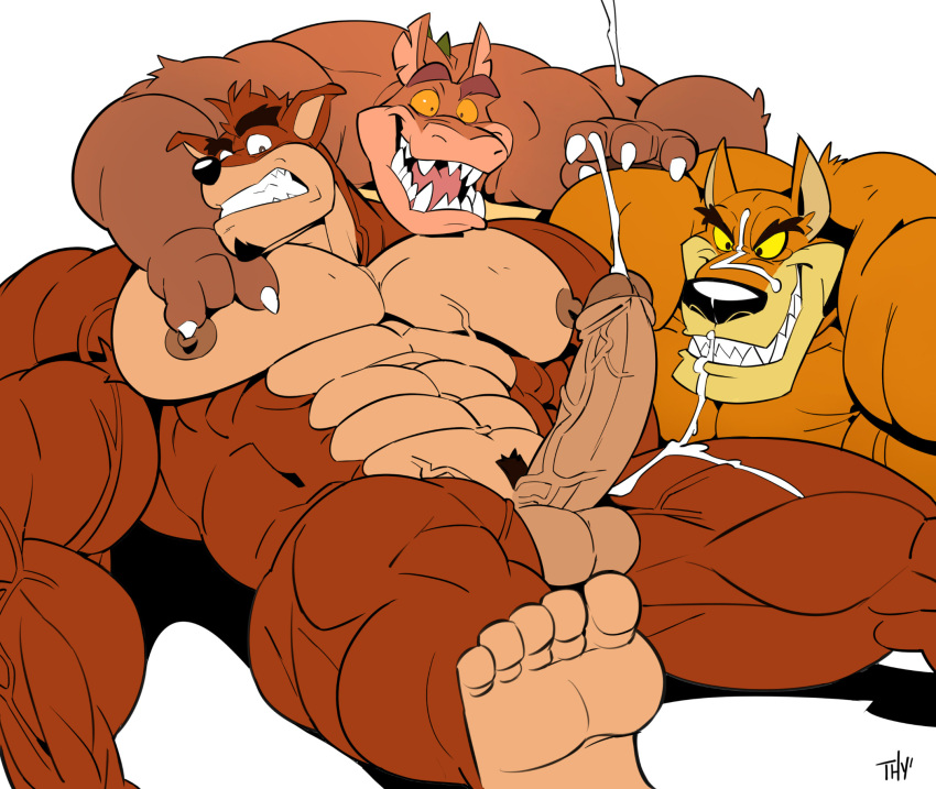 2020 2020s 3boys anthro balls bara black_nose clenched_teeth crash_(series) crunch_bandicoot cum cumshot dingodile erect_penis erection feet flat_colors fur furry furry_only gay hi_res hybrid male male/male male_only marsupial muscular muscular_male nipples penis pubic_hair puffy_nipples sharp_teeth signature simple_background teeth thy_carker thymilph tiger tiny_tiger veiny_muscles veiny_penis video_games white_background yaoi