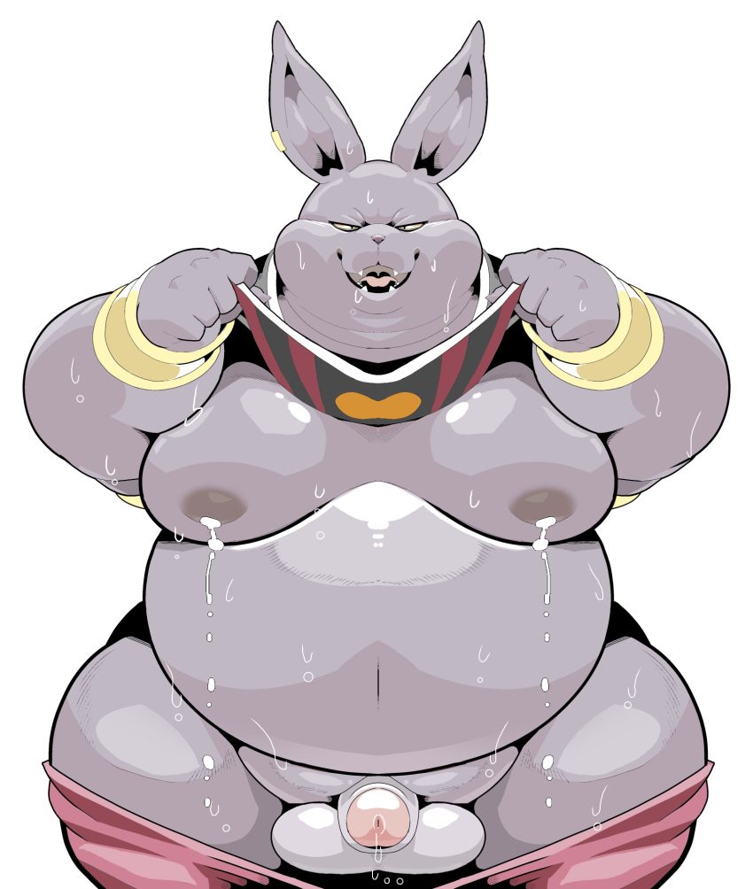 2022 anthro balls belly big_belly bodily_fluids champa domestic_cat dragon_ball dragon_ball_super fat felid feline felis flaccid genitals hi_res humanoid_genitalia humanoid_hands humanoid_penis kemono male male_only mammal moobs nipples obese obese_male overweight overweight_male penis sigenoya simple_background small_penis solo sweat takotyutyu white_background