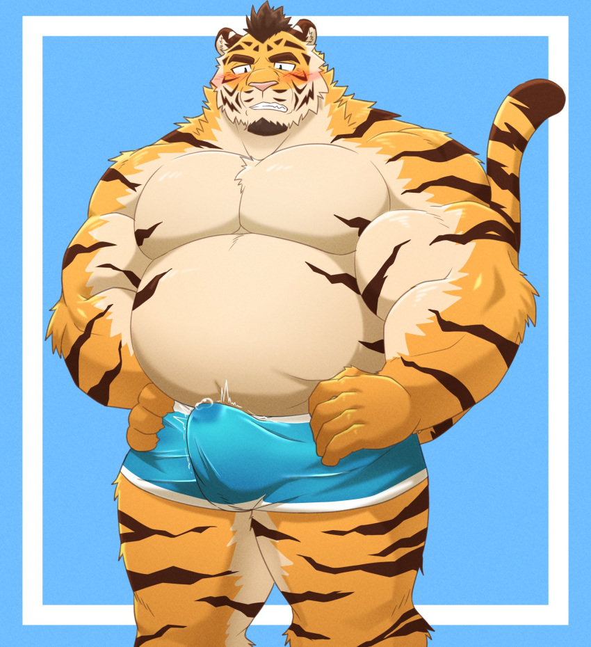 2022 anthro belly big_belly blush bodily_fluids bulge clothed clothing erection erection_under_clothing felid genital_fluids hi_res humanoid_hands kemono male mammal musclegut overweight overweight_male pantherine pink_nose precum shillon0610 simple_background solo tiger underwear