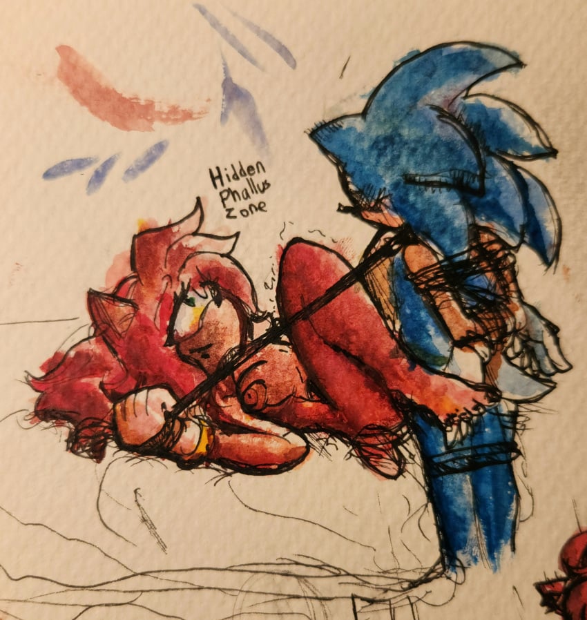 amy_rose bondage collar femdom furry hands_behind_back happy hiddenphallice_(artist) hiddenphalluszone laying_down laying_on_back laying_on_bed leash restrained rope sex smile sonic_(series) sonic_the_hedgehog sonic_the_hedgehog_(series) straight