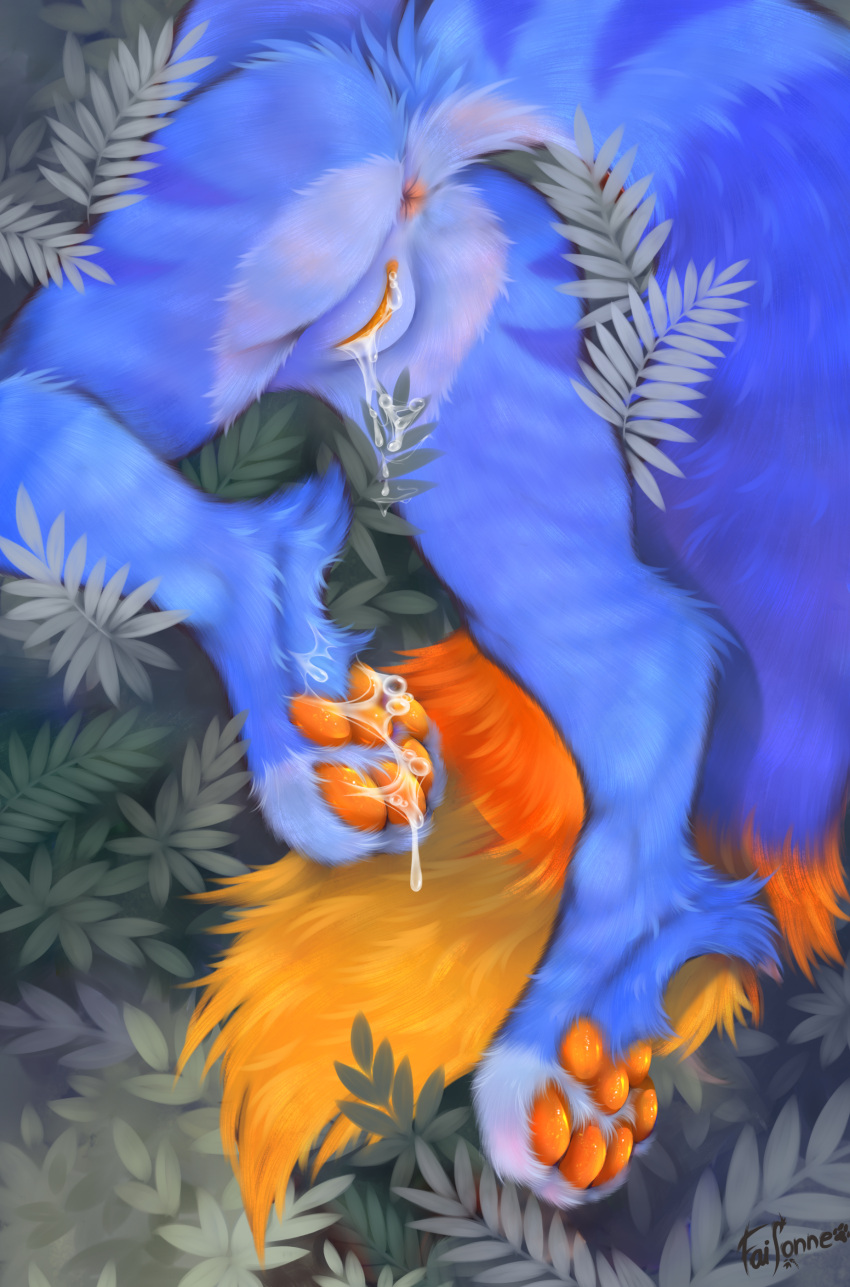 absurd_res anthro anus biped blue_body blue_fur bodily_fluids canid canine canis cum cum_in_pussy cum_inside cum_on_foot faisonne female fox fur furry furry_only genital_fluids genitals hi_res hybrid mammal orange_body orange_fur orange_pawpads orange_pussy pawpads paws presenting pussy quartz_(quartzthefolf) solo tail wolf