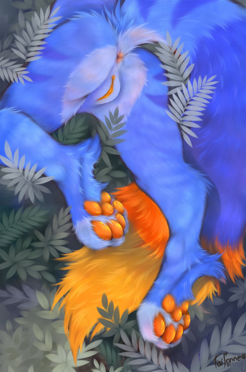 absurd_res anthro anus biped blue_body blue_fur canid canine canis faisonne female fox fur furry furry_only genitals hi_res hybrid mammal orange_body orange_fur orange_pawpads orange_pussy pawpads paws presenting pussy quartz_(quartzthefolf) solo tail wolf