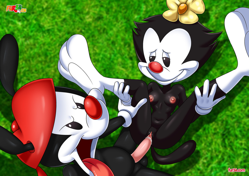 animaniacs anthro balls bbmbbf breasts brother_and_sister dot_warner female fur34 incest male male/female nipples nude open_mouth palcomix penis pussy sex tongue tongue_out vaginal_penetration vaginal_sex wakko_warner warner_brothers