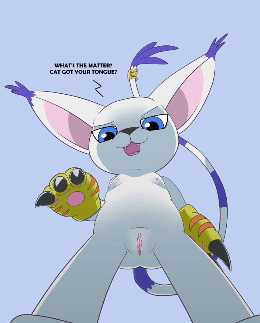 1girls absurd_res bandai_namco claws digimon digimon_(species) dominant dominant_female female female_only first_person_view gatomon genitals hi_res pussy solo tail teot