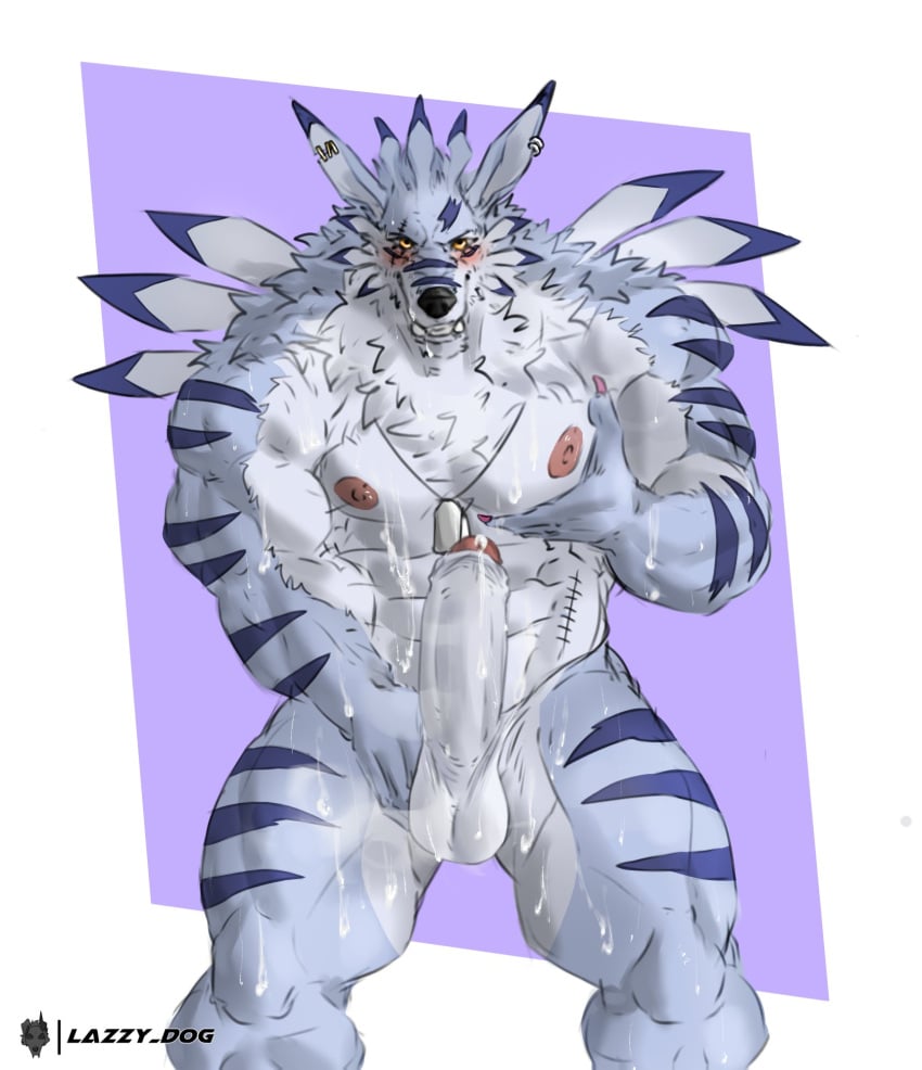 abs anthro balls bandai_namco big_penis bodily_fluids canid canine cum cum_on_self digimon digimon_(species) dog_tags ear_piercing erection genital_fluids genitals hi_res humanoid_genitalia humanoid_penis lazzyd0g looking_at_viewer male male_focus male_only male_solo mammal muscular muscular_anthro muscular_male nipples pecs penis piercing scar simple_background solo solo_male weregarurumon yellow_eyes