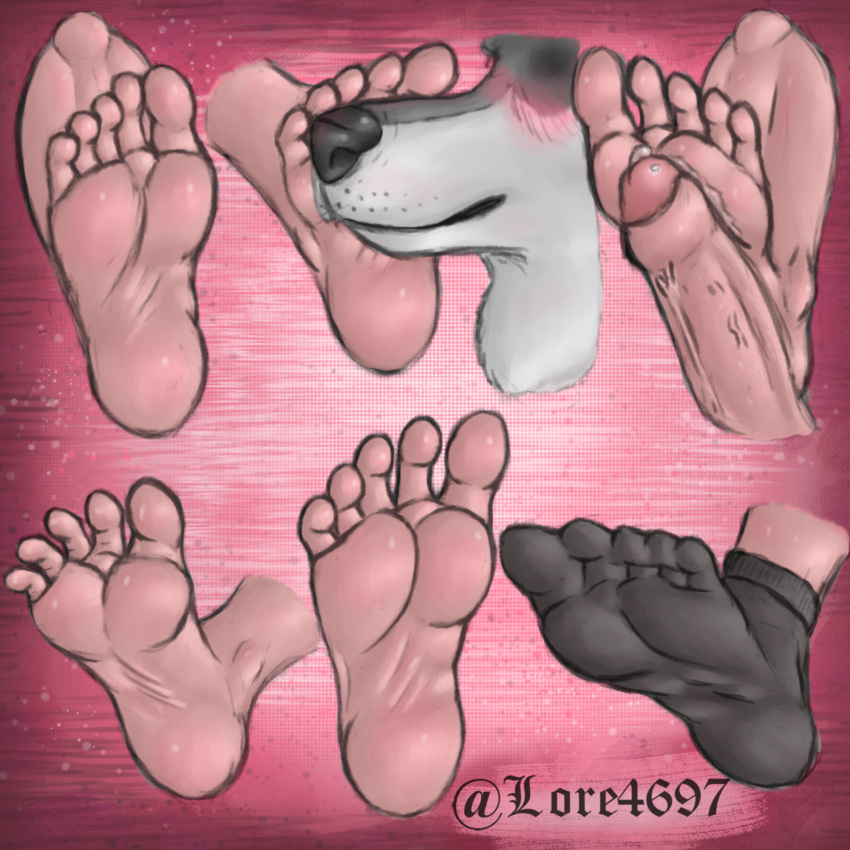 5_toes anthro black_clothing black_footwear black_socks blush bodily_fluids canid canine canis clothing domestic_dog feet foot_fetish foot_play footjob footwear foreskin genital_fluids genitals hi_res human humanoid humanoid_feet humanoid_genitalia humanoid_penis husky lore4697 mammal nordic_sled_dog penis precum sex socks spitz toes