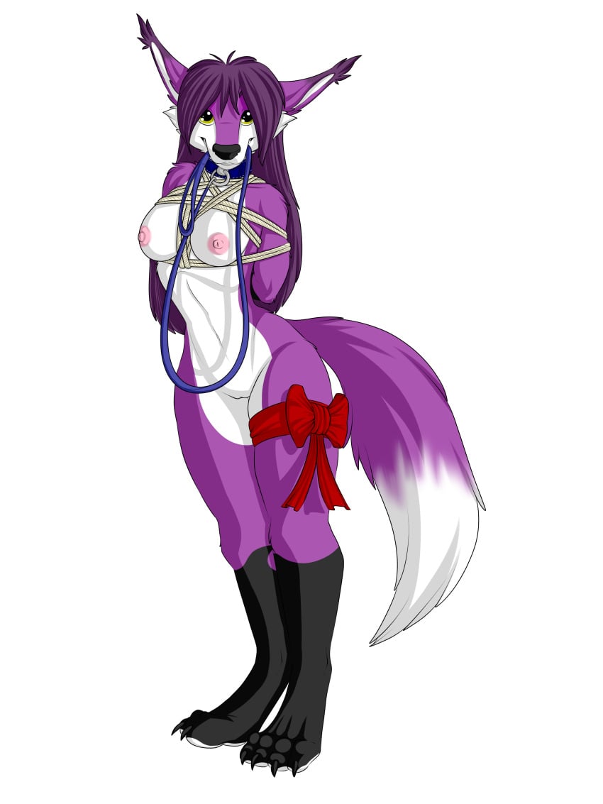 2015 absurd_res alpha_channel anthro arms_tied barefoot barely_visible_genitalia barely_visible_pussy blue_collar bondage bound bow_ribbon breasts canid canine claws collar digital_media_(artwork) dipstick_ears dipstick_tail ear_tuft feet female fox fur genitals gift_wrapped hair harness hi_res kneezle_(character) leash leash_in_mouth long_ears long_hair looking_at_viewer mammal markings mouth_hold multicolored_ears multicolored_tail nipples nude object_in_mouth pentagram pentagram_harness pink_nipples puppy_eyes purple_body purple_fur purple_hair pussy red_ribbon restrained restraints ribbons rope rope_bondage rope_harness simple_background skindentation solo submissive submissive_female tail_markings teeth transparent_background tuft walkies white_body white_fur wide_hips yellow_eyes zikaur