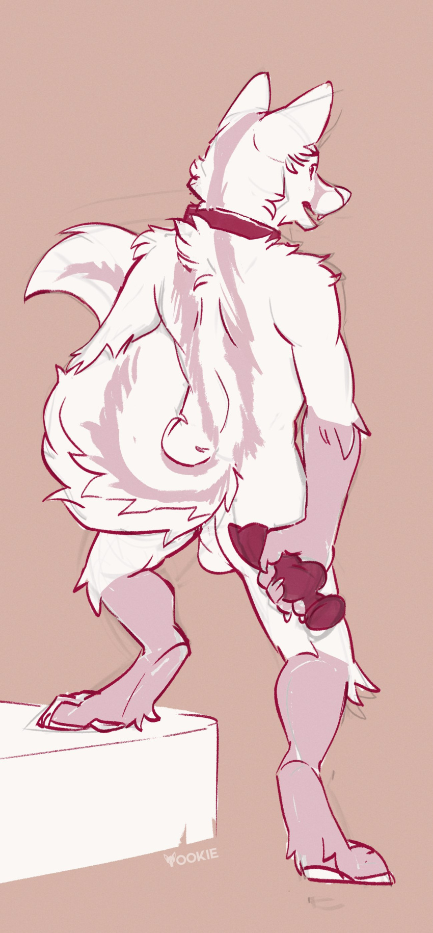 absurd_res anthro ass back_tuft balls biped collar dildo elbow_tufts fangs genitals gloves_(marking) hi_res holding_dildo holding_object holding_sex_toy knee_tuft leg_markings leg_tuft male markings open_mouth open_smile perineum rear_view restricted_palette sex_toy shoulder_tuft signature smile socks_(marking) solo tuft yookie