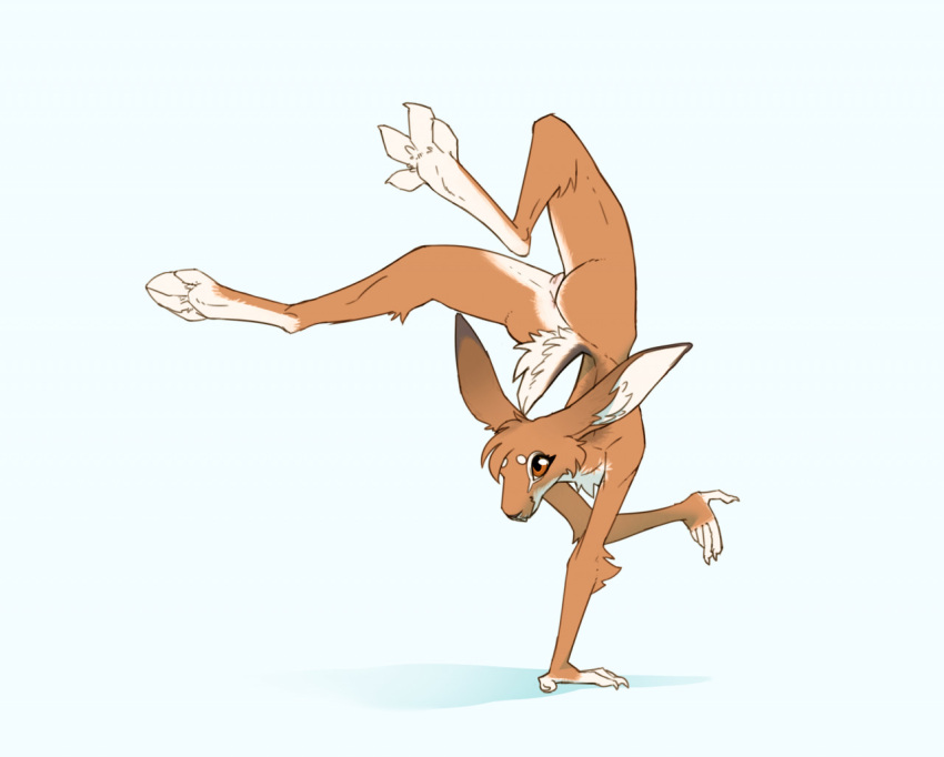 2022 anthro anus ass feet female ferima fur furry furry_only genitals hair handstand hare lagomorph leporid mammal maylis naked nude paws pose pussy solo tail toes upside-down