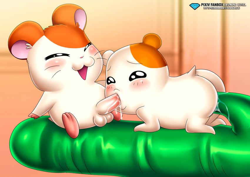 blowjob cum cum_in_mouth cum_inside dildo dildo_in_ass ebichu hamtaro hamtaro_(series) looking_at_viewer male oruchuban_ebichu palcomix pietros_secret_club sex_toy