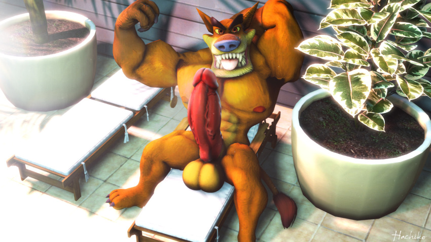 3d 3d_(artwork) abs animal_humanoid anthro balls big_balls big_penis crash_(series) erection fangs flexing_bicep furry furry_only gay male male_only mammal marsupial muscular muscular_male nude_male orange_fur pecs penis pink_nipples pink_penis smile thylacine tiny_tiger video_games yaoi yellow_eyes