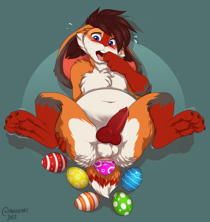 absurd_res anthro anus balls belly big_belly bodily_fluids breath canid canine drooling egg egg_laying enjoying feroxdoon fox genital_fluids genitals hi_res holidays knot lagomorph leporid male male_only mammal muzz panting penis precum pregnant presenting rabbit red_fox round_body saliva shaking solo solo_male sweat transformation trembling