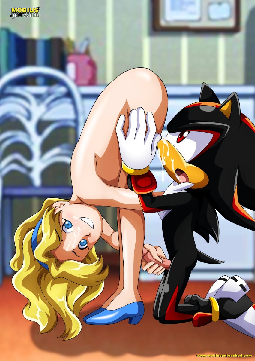 Sonic (Series) Rule 34 Image
