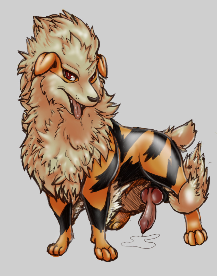 arcanine feral feral_only hi_res male male_only nintendo pokemon pokemon_(species) solo solo_male suns_(artist) video_games