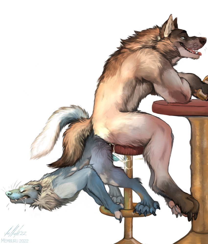 anthro barstool bodily_fluids canid canine canis cum duo genital_fluids gulonine hi_res knotting looking_pleasured male male/male mammal marten memburu mustelid musteline pained_expression wolf