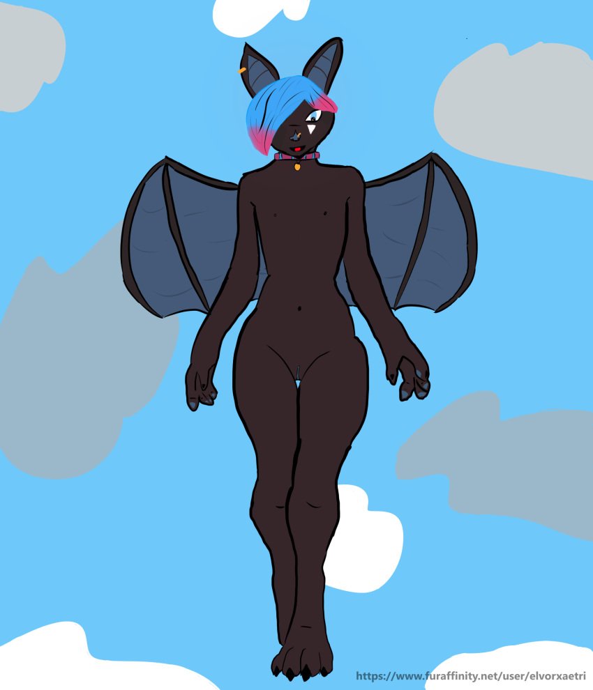 anthro bat batsy(elvor_xaetri) cloud elvor_xaetri_(artist) flying genitals hi_res male mammal nude pussy solo