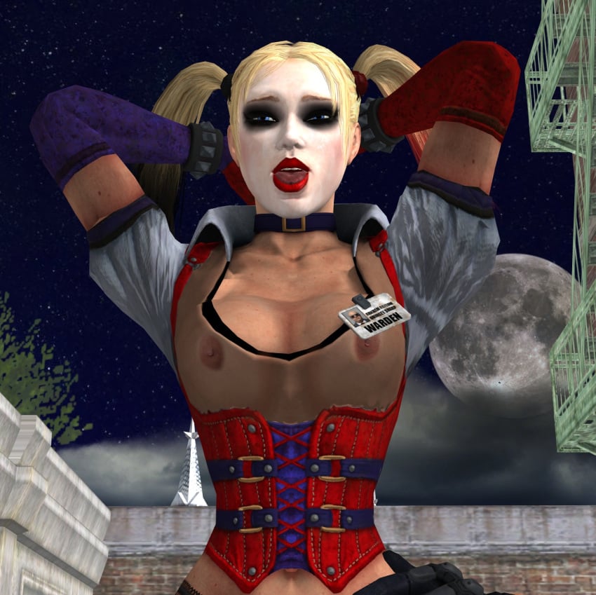 3d batman:_arkham_asylum batman:_arkham_city batman_(series) darksdante dc dc_comics female harley_quinn harley_quinn_(arkham) harley_quinn_(arkham_city) human male straight tagme