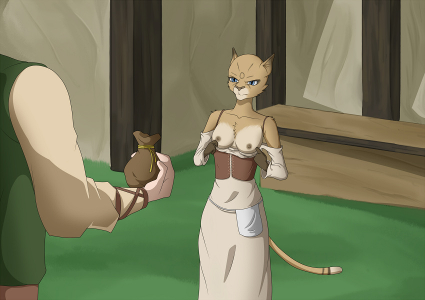 1girls cat_tail dmiller22_(artist) furry khajiit showing_breasts tail the_elder_scrolls