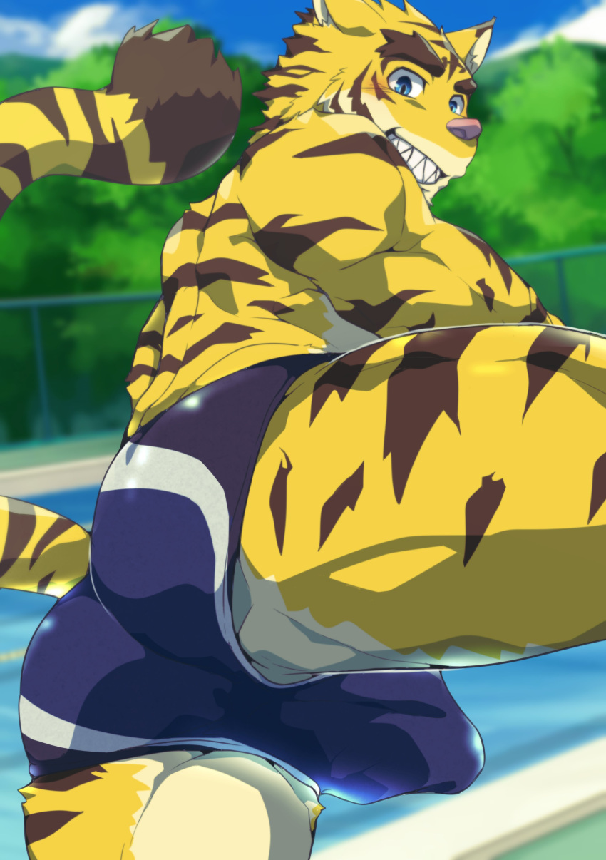 2023 absurd_res anthro ass blue_clothing blue_eyes blue_speedo blue_swimwear blush brown_body brown_fur brown_stripes bulge clothed clothing countershade_face countershade_legs countershade_torso countershading detailed_bulge dipstick_tail fangs felid fur head_tuft hi_res looking_at_viewer male mammal markings morenatsu multicolored_body multicolored_fur muscular muscular_anthro muscular_male open_mouth open_smile outside pantherine pink_nose pool presenting presenting_hindquarters sharp_teeth sky smile solo speedo speedo_only striped_body striped_fur stripes swimwear swimwear_only tail tail_markings tan_body tan_countershading tan_fur teeth tiger topless torahiko_(morenatsu) tuft yellow_body yellow_fur yo_na_ga